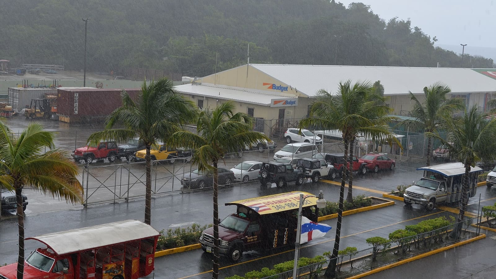 Taxis safari y palmeras a lo largo de la carretera en Havensight, St. Thomas